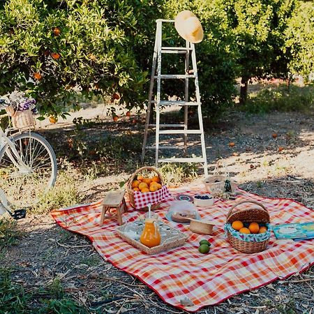 Vila Milreu Guest House Estoi Dış mekan fotoğraf